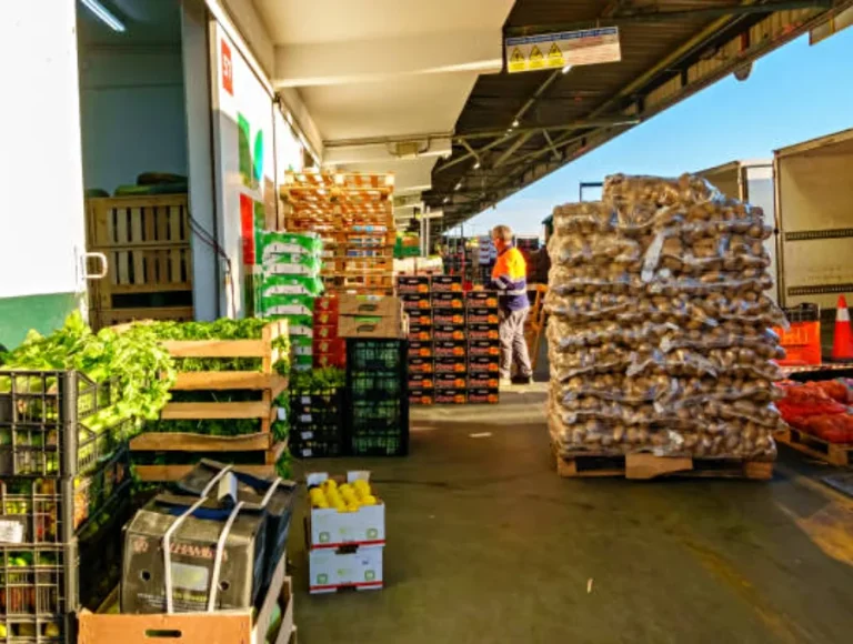 Exportación de Frutas