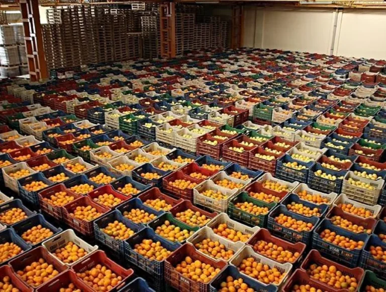 Exportación de Frutas con agencia de aduanas Oyarzun