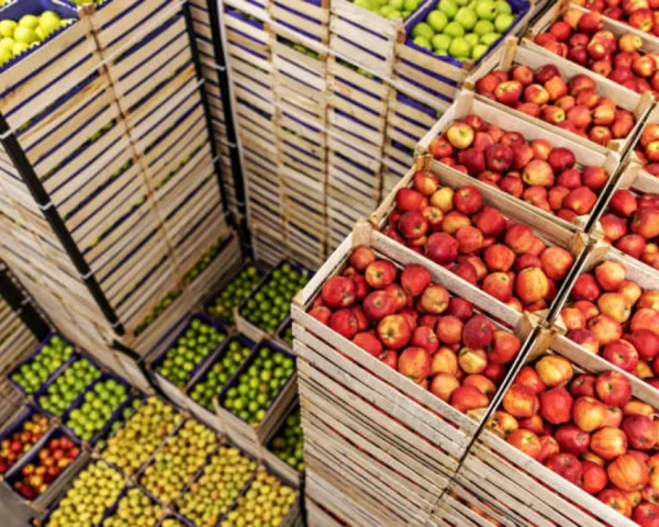 Exportación de Frutas Chilenas