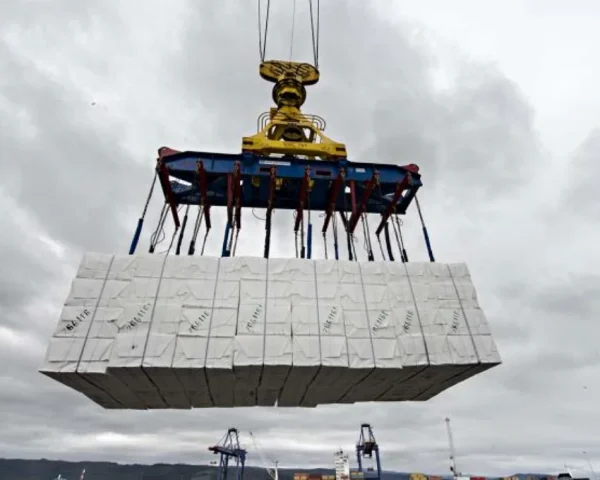 Exportación de papel con agencia de aduanas Oyarzun